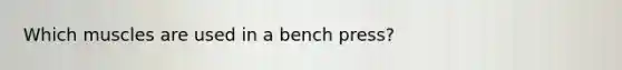 Which muscles are used in a bench press?