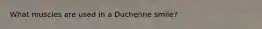 What muscles are used in a Duchenne smile?