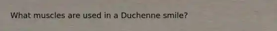 What muscles are used in a Duchenne smile?