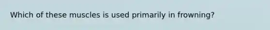 Which of these muscles is used primarily in frowning?