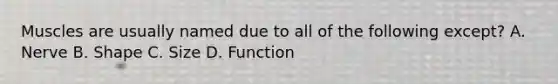 Muscles are usually named due to all of the following except? A. Nerve B. Shape C. Size D. Function