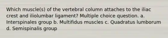 Which muscle(s) of the <a href='https://www.questionai.com/knowledge/ki4fsP39zf-vertebral-column' class='anchor-knowledge'>vertebral column</a> attaches to the iliac crest and iliolumbar ligament? Multiple choice question. a. Interspinales group b. Multifidus muscles c. Quadratus lumborum d. Semispinalis group