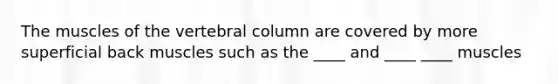 The muscles of the vertebral column are covered by more superficial back muscles such as the ____ and ____ ____ muscles