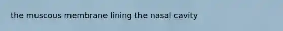 the muscous membrane lining the nasal cavity