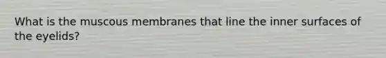 What is the muscous membranes that line the inner surfaces of the eyelids?