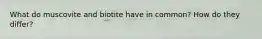 What do muscovite and biotite have in common? How do they differ?