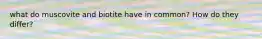 what do muscovite and biotite have in common? How do they differ?