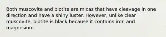 Both muscovite and biotite are micas that have cleavage in one direction and have a shiny luster. However, unlike clear muscovite, biotite is black because it contains iron and magnesium.