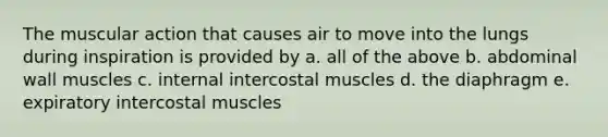 The muscular action that causes air to move into the lungs during inspiration is provided by a. all of the above b. abdominal wall muscles c. internal intercostal muscles d. the diaphragm e. expiratory intercostal muscles