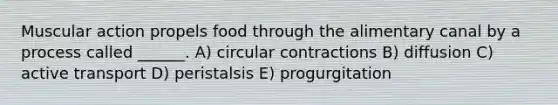 Muscular action propels food through the alimentary canal by a process called ______. A) circular contractions B) diffusion C) active transport D) peristalsis E) progurgitation