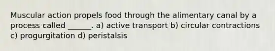 Muscular action propels food through the alimentary canal by a process called ______. a) active transport b) circular contractions c) progurgitation d) peristalsis