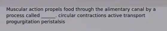 Muscular action propels food through the alimentary canal by a process called ______. circular contractions active transport progurgitation peristalsis