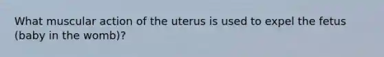 What muscular action of the uterus is used to expel the fetus (baby in the womb)?