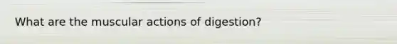 What are the muscular actions of digestion?