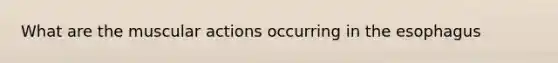 What are the muscular actions occurring in the esophagus