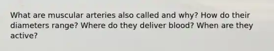 What are muscular arteries also called and why? How do their diameters range? Where do they deliver blood? When are they active?