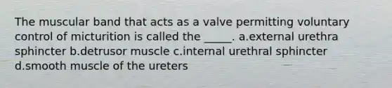 The muscular band that acts as a valve permitting voluntary control of micturition is called the _____. a.external urethra sphincter b.detrusor muscle c.internal urethral sphincter d.smooth muscle of the ureters