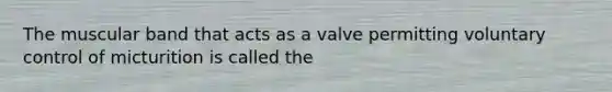 The muscular band that acts as a valve permitting voluntary control of micturition is called the