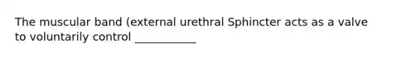 The muscular band (external urethral Sphincter acts as a valve to voluntarily control ___________