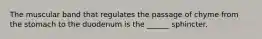 The muscular band that regulates the passage of chyme from the stomach to the duodenum is the ______ sphincter.