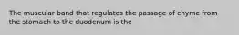 The muscular band that regulates the passage of chyme from the stomach to the duodenum is the