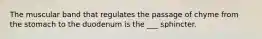 The muscular band that regulates the passage of chyme from the stomach to the duodenum is the ___ sphincter.