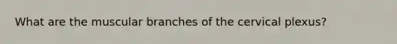 What are the muscular branches of the cervical plexus?