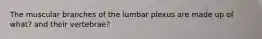 The muscular branches of the lumbar plexus are made up of what? and their vertebrae?