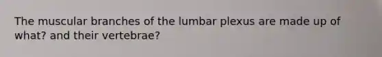 The muscular branches of the lumbar plexus are made up of what? and their vertebrae?