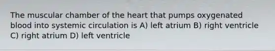 The muscular chamber of the heart that pumps oxygenated blood into systemic circulation is A) left atrium B) right ventricle C) right atrium D) left ventricle