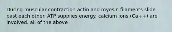 During muscular contraction actin and myosin filaments slide past each other. ATP supplies energy. calcium ions (Ca++) are involved. all of the above