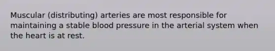 Muscular (distributing) arteries are most responsible for maintaining a stable <a href='https://www.questionai.com/knowledge/kD0HacyPBr-blood-pressure' class='anchor-knowledge'>blood pressure</a> in the arterial system when <a href='https://www.questionai.com/knowledge/kya8ocqc6o-the-heart' class='anchor-knowledge'>the heart</a> is at rest.