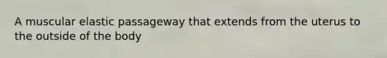 A muscular elastic passageway that extends from the uterus to the outside of the body