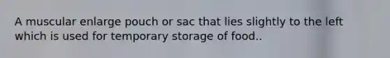 A muscular enlarge pouch or sac that lies slightly to the left which is used for temporary storage of food..