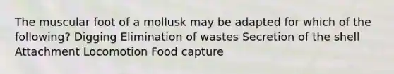 The muscular foot of a mollusk may be adapted for which of the following? Digging Elimination of wastes Secretion of the shell Attachment Locomotion Food capture