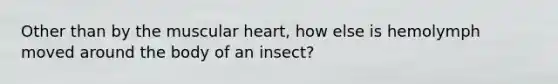 Other than by the muscular heart, how else is hemolymph moved around the body of an insect?