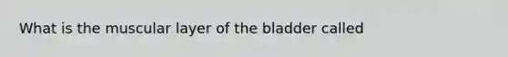 What is the muscular layer of the bladder called