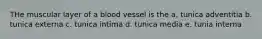 THe muscular layer of a blood vessel is the a. tunica adventitia b. tunica externa c. tunica intima d. tunica media e. tunia interna