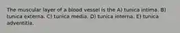 The muscular layer of a blood vessel is the A) tunica intima. B) tunica externa. C) tunica media. D) tunica interna. E) tunica adventitia.