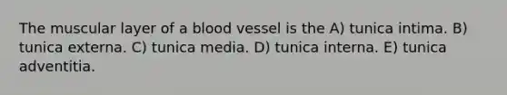 The muscular layer of a blood vessel is the A) tunica intima. B) tunica externa. C) tunica media. D) tunica interna. E) tunica adventitia.