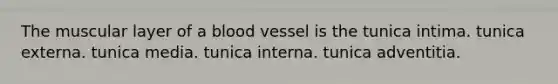 The muscular layer of a blood vessel is the tunica intima. tunica externa. tunica media. tunica interna. tunica adventitia.