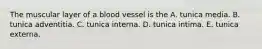 The muscular layer of a blood vessel is the A. tunica media. B. tunica adventitia. C. tunica interna. D. tunica intima. E. tunica externa.