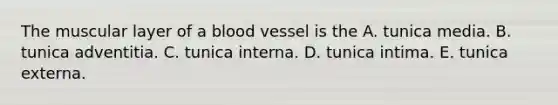 The muscular layer of a blood vessel is the A. tunica media. B. tunica adventitia. C. tunica interna. D. tunica intima. E. tunica externa.