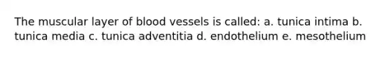 The muscular layer of blood vessels is called: a. tunica intima b. tunica media c. tunica adventitia d. endothelium e. mesothelium