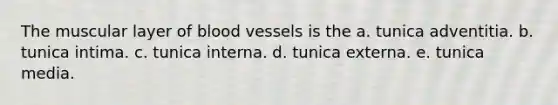 The muscular layer of blood vessels is the a. tunica adventitia. b. tunica intima. c. tunica interna. d. tunica externa. e. tunica media.