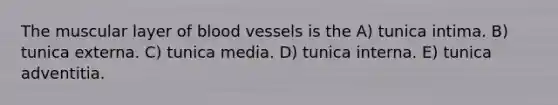 The muscular layer of blood vessels is the A) tunica intima. B) tunica externa. C) tunica media. D) tunica interna. E) tunica adventitia.