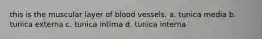 this is the muscular layer of blood vessels. a. tunica media b. tunica externa c. tunica intima d. tunica interna