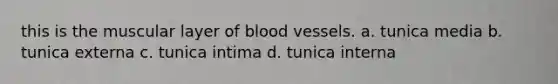 this is the muscular layer of blood vessels. a. tunica media b. tunica externa c. tunica intima d. tunica interna