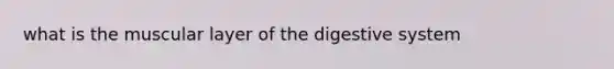 what is the muscular layer of the digestive system