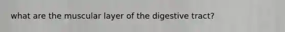 what are the muscular layer of the digestive tract?